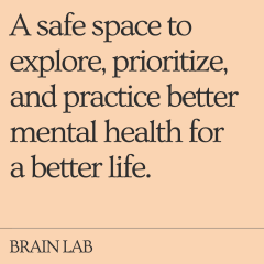 Introducing: Brain Lab